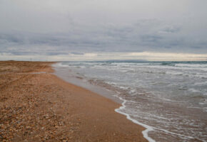 Роспотребнадзор подтвердил чистоту воды в бухте Геленджика