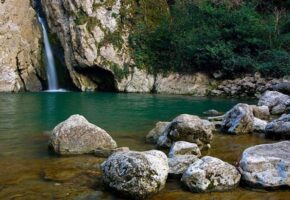 Турпоток в Сочинский нацпарк в 2026 году сохранится на уровне прошлого года