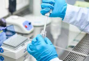 Специалисты выясняют причины гибели рыбы и черепах в Краснодаре