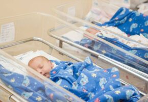 28 малышей родились за неделю в Геленджике