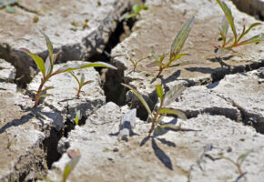 Повторное землетрясение магнитудой 4,5 зафиксировали у побережья Сочи