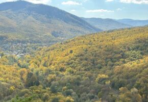 Насладиться природой: лучшие осенние маршруты Кубани