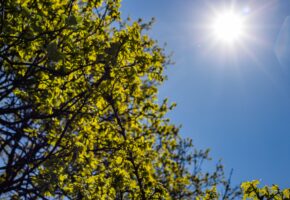 Аномально теплая осень сохранится на побережье Кубани