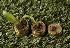 Аграрии Кубани получили более 2,6 млрд рублей страховых выплат