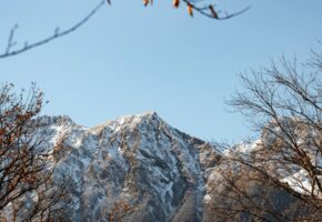 Горный кластер Сочи нарастил турпоток из арабских стран