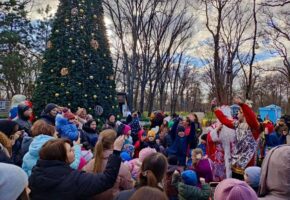 Новогодние елки в городских парках откроются 20 декабря в Краснодаре