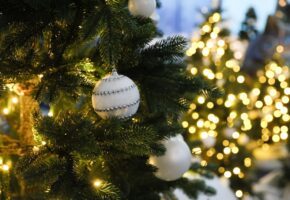 Более 100 тыс. детей на Кубани получат сладкие подарки к Новому году