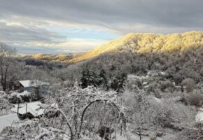 Власти Сочи предупредили о сильном снеге и усилении ветра 16 января