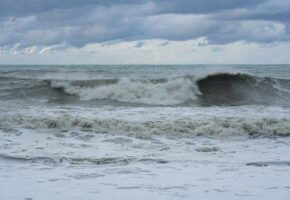 Метеорологи прогнозируют сильный ветер и опасные условия на дорогах в Сочи