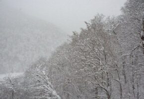 Снег и минусовая температура ожидаются в Сочи 17 января