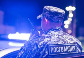 Росгвардейцы помогли найти потерявшегося ребенка в Сириусе