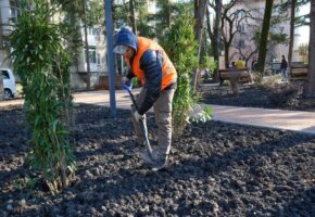Сеть карманных скверов создадут в Лазаревском районе Сочи
