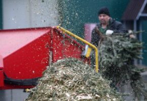 Сдать новогодние елки на переработку смогут жители Анапы 