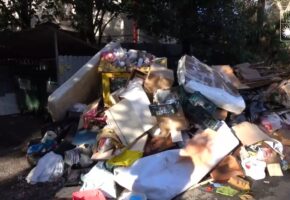 Мэр Сочи раскритиковал свалки на контейнерных площадках в центре города