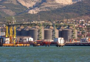 Почти на 25% сократил экспорт зерна НЗТ в Новороссийске