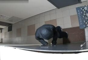 Рецидивист обчистил три квартиры за ночь в Дагомысе