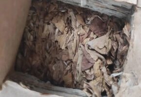 Более 530 тонн табачного сырья из Турции обеззаразили в порту Новороссийска