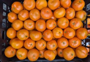 20 тонн мандаринов из Турции обеззаразили в порту Новороссийска