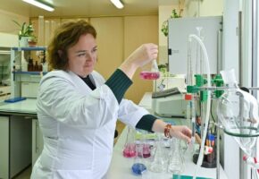 Метеорологи отметили высокий уровень экологической обстановки в Сочи