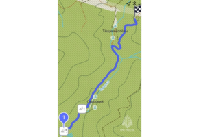 Спасатели нашли и вывели туристку из ущелья в Сочи