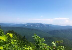 Экологи изучат влияние стройки футбольной базы на природу Сочи