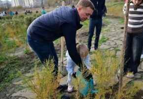 Зеленый каркас разработают для Новороссийска за 64 млн рублей