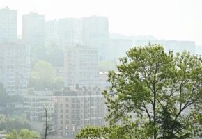 Туман накроет Сочи и Сириус в ближайшие сутки