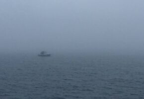 Режим повышенной готовности ввели в Новороссийске из-за непогоды