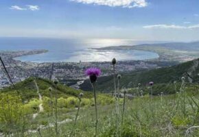 Незаконный джиппинг запретили в горах Геленджика