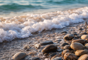 Гибель дельфинов зафиксировали у побережья Новороссийска