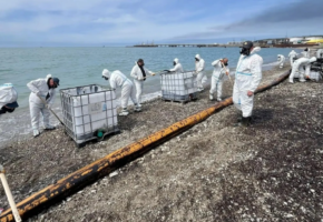 Более 600 человек очищают берег после разлива нефтепродуктов в Туапсе