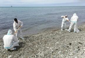 Почти 10 тысяч кубометров загрязнений вывезли после ЧП в Туапсе