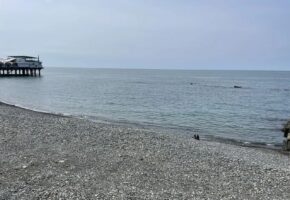 Экологи подтвердили чистоту моря и пляжей в Сочи 30 апреля
