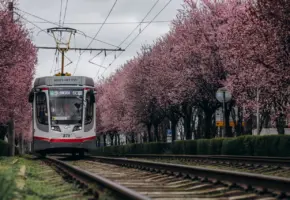 В Краснодаре изменят четыре трамвайных маршрута с 1 мая