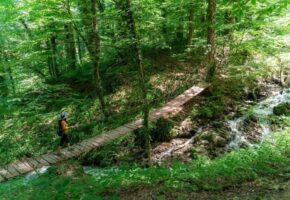 Туристам откроют экотропы в горах Сочи с 1 мая