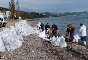 Нефтепродукты убирают на пяти участках побережья Туапсинского округа