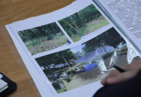 Новый экопарк за 176 млн рублей построят в Геленджике