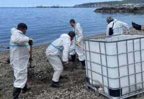 Более 31 тыс. кубометров загрязненного грунта собрали в Туапсе