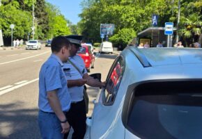 Количество ДТП с каршеринговыми автомобилями снизилось в Сочи