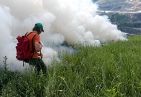 Лесной пожар на Лысой горе локализовали в Новороссийске