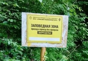 Штраф до 4 тысяч: за что наказывают туристов в горах Сочи