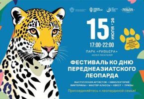 Фестиваль в честь переднеазиатского леопарда пройдет в Сочи