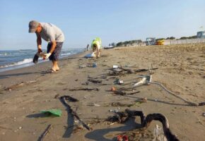С пляжей Анапы вывезли более 650 кубометров штормового мусора