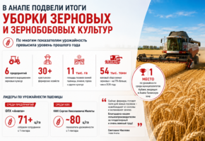 Урожай озимых зерновых вырос на 11% за год в Анапе