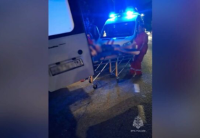 Спасатели трижды за сутки помогли людям в Сочи