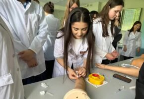 Школы увеличили количество профильных классов в Анапе