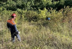 Мужчина упал со столба после удара током и убежал в лес в Сочи