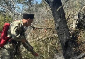 Пожарные проливают очаги после пожара на Утрише в Анапе