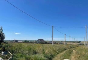 Власти потребовали вернуть 240 участков в сельхозоборот в Анапе
